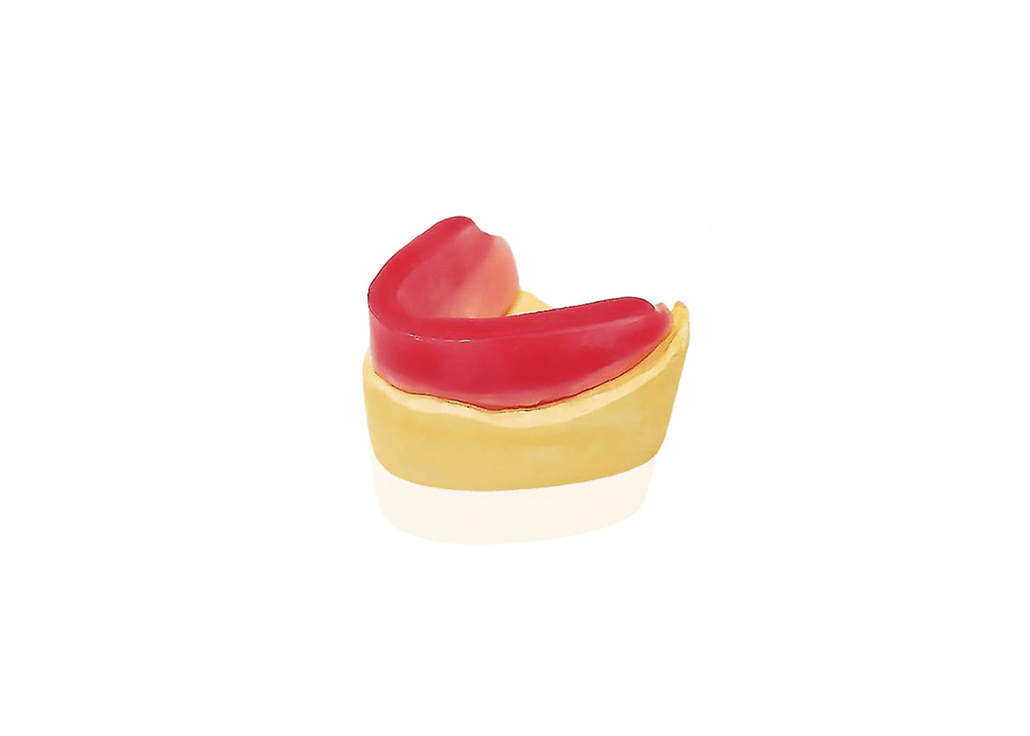 Denture Bite Block