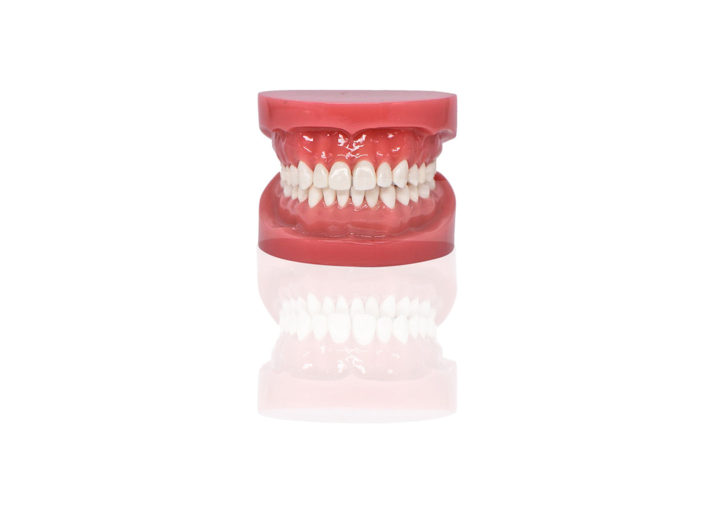 Denture Try In