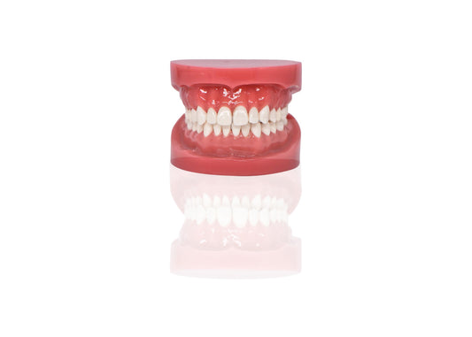 Denture Try In